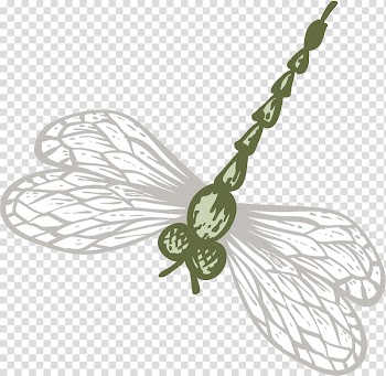 Watercolor painting, Hand painted watercolor Dragonfly transparent background PNG clipart