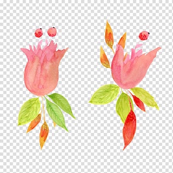 Watercolor painting, Hand painted watercolor pink floral decoration pattern transparent background PNG clipart