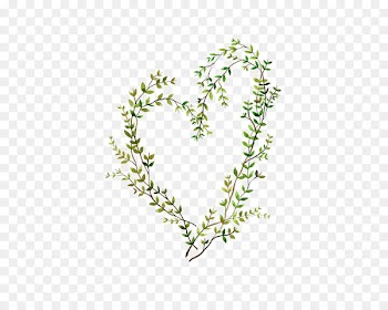 Watercolor painting Heart Illustration - Green Leaves 