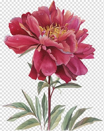 Watercolor painting Illustration Art Floral design, painting transparent background PNG clipart