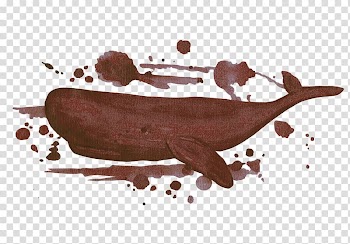 Watercolor painting Illustration, Brown Dolphin transparent background PNG clipart