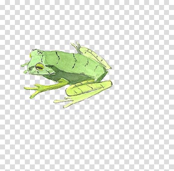 Watercolor painting Illustration, frog transparent background PNG clipart