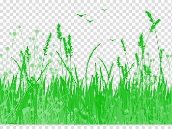 Watercolor painting Illustration, Grass transparent background PNG clipart
