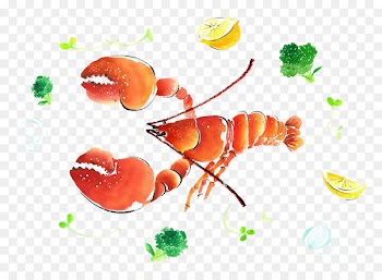 Watercolor painting Illustration - Lobster watercolor painting 