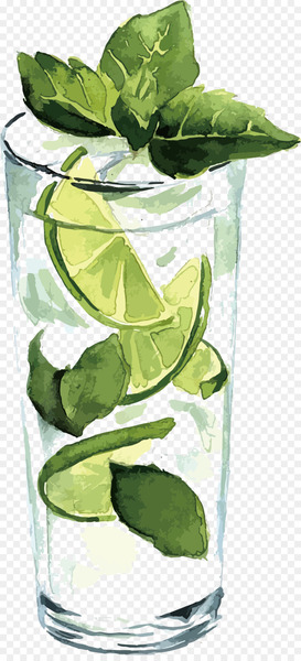 Watercolor painting Illustration - Vector lemonade 