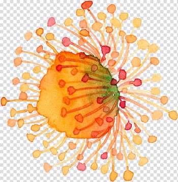Watercolor painting Illustration, Watercolor flower flowers transparent background PNG clipart