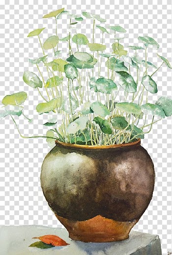 Watercolor painting Illustrator Art Illustration, Lotus transparent background PNG clipart