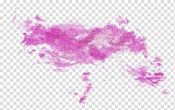 Watercolor painting Ink, paint transparent background PNG clipart