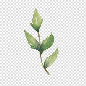 Watercolor painting Ink, painting transparent background PNG clipart