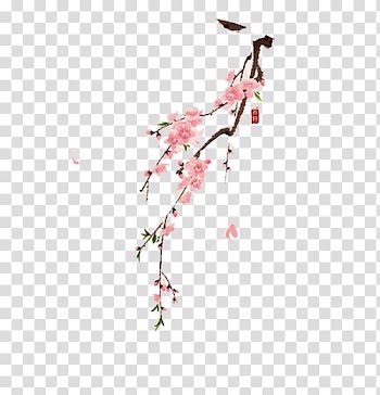 Watercolor painting Ink wash painting, Hand-painted Peach transparent background PNG clipart