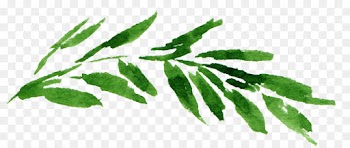 Watercolor Painting, Leaf, Download, Plant PNG