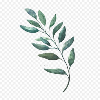 Watercolor painting Leaf Drawing - Watercolor leaves 