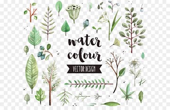 Watercolor painting Leaf Icon - Vector diagram leaf shading 