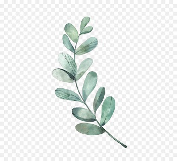 Watercolor painting Leaf Illustration Image - painting 