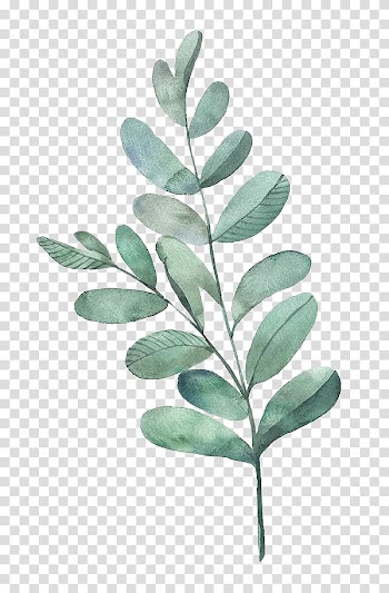 Watercolor painting Leaf Illustration, Watercolor leaves, green leafed plant transparent background PNG clipart
