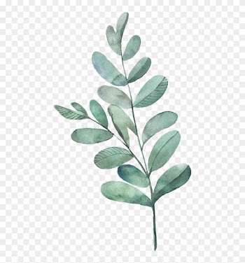 Watercolor Painting Leaf Illustration - Watercolor Leaves Leaves Png