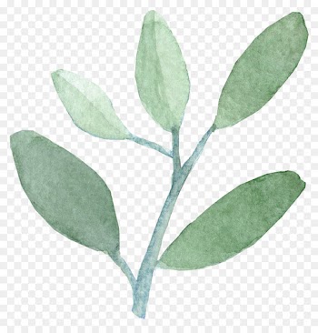 Watercolor painting Leaf India ink - watercolor leaves 