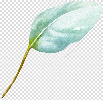 Watercolor painting Leaf, water marks transparent background PNG clipart