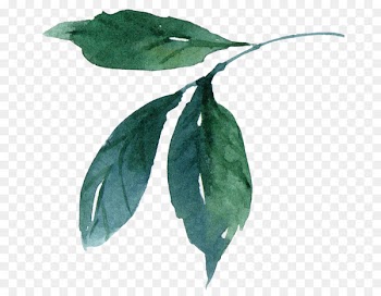 Watercolor painting Leaf - Watercolor leaves 