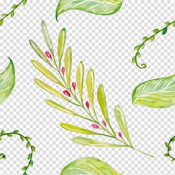 Watercolor painting , Leaves transparent background PNG clipart