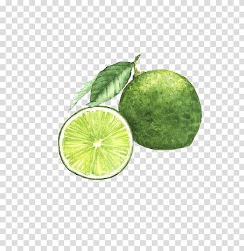 Watercolor painting Lemon Lime , Blue lemon transparent background PNG clipart