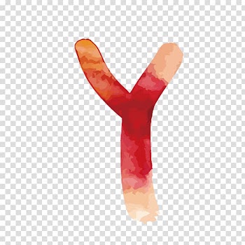 Watercolor painting Letter, Watercolor letters Y transparent background PNG clipart