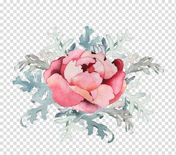 Watercolor painting Logo Flower Floral design , watercolor flower transparent background PNG clipart