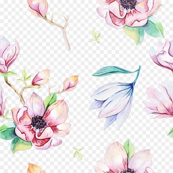 Watercolor Painting, Magnolia, Painting, Flower, Petal PNG