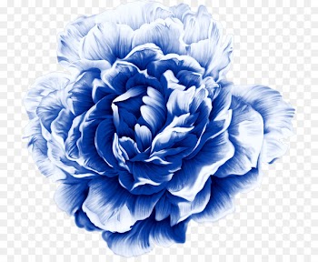Watercolor painting Moutan peony Clip art - Peony pattern 