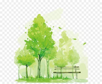 Watercolor painting Mural Illustration - Vector green trees 