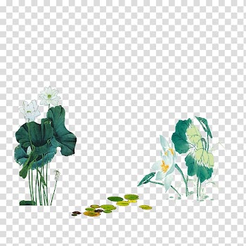 Watercolor painting Nelumbo nucifera Ink wash painting, Ink lotus transparent background PNG clipart