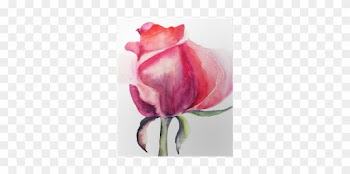 Watercolor Painting Of Flower Rose