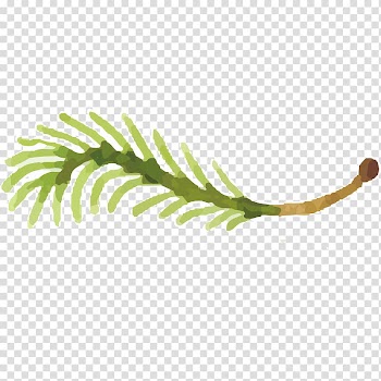 Watercolor painting Oil painting, Hand-painted flowers,Beautiful,watercolor,Oil painting effect,Flowers,Leaves transparent background PNG clipart