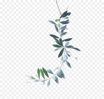 Watercolor painting Olive branch - Green Leaves 