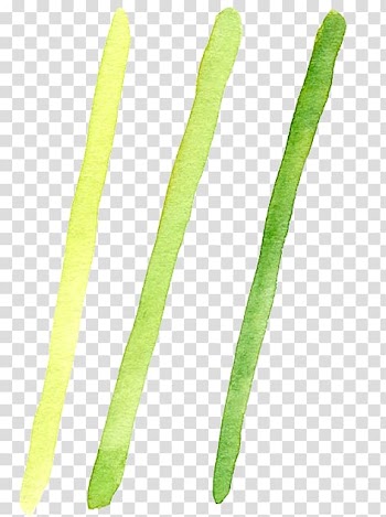 Watercolor painting Onion, Watercolor painting onion transparent background PNG clipart