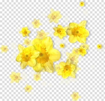Watercolor painting Orange and Yellow Art Brushstrokes, painting transparent background PNG clipart