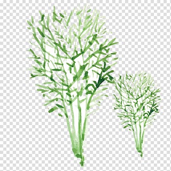 Watercolor painting, Painted green leaf transparent background PNG clipart
