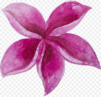 Watercolor Painting, Painting, Petal, Violet PNG
