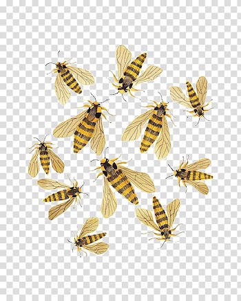Watercolor painting Paper Artist Illustration, bee transparent background PNG clipart