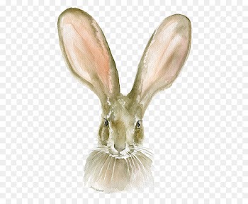 Watercolor painting Paper Printmaking Printing - Bugs Bunny 