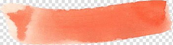 Watercolor painting , peach transparent background PNG clipart