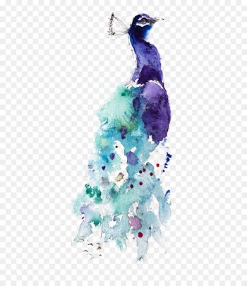 Watercolor painting Peafowl Drawing Art - Watercolor Peacock 