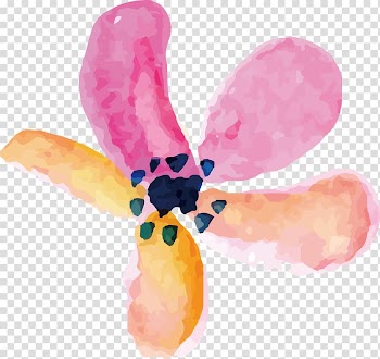 Watercolor painting Petal, Petals watercolor decorative elements transparent background PNG clipart