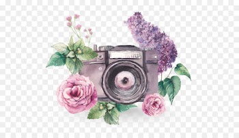 Watercolor painting Photography - Camera 
