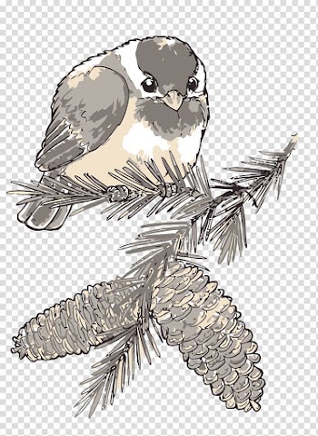 Watercolor painting, Pine on the sparrow transparent background PNG clipart
