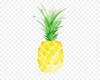 Watercolor painting Pineapple Drawing Printmaking - Hand-painted pineapple 