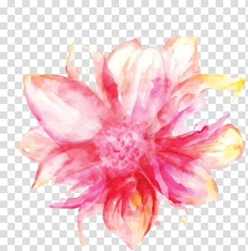 Watercolor painting Pink flowers, painting transparent background PNG clipart
