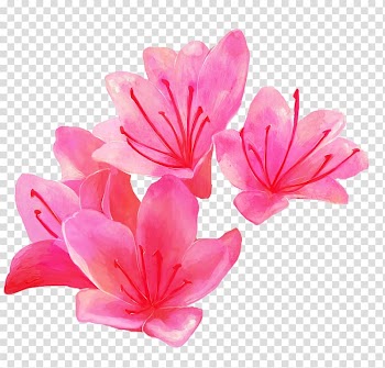 Watercolor painting , Pink flowers transparent background PNG clipart