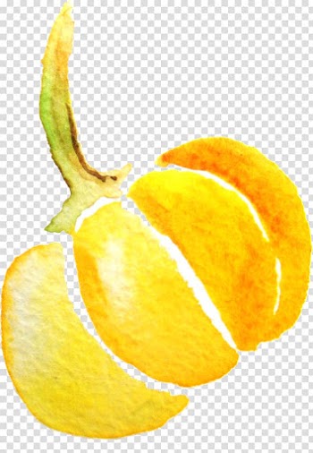 Watercolor painting Pumpkin , Watercolor pumpkin transparent background PNG clipart