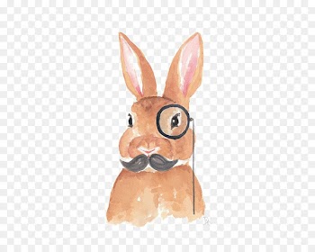 Watercolor painting Rabbit Drawing Illustration - rabbit 
